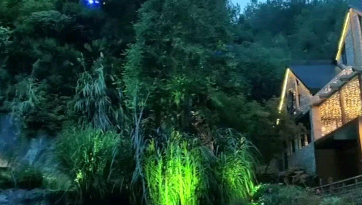 宁小染是哪部小说女主名字 - 让你聚集最新最热的讨论内容